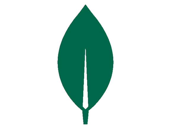 MongoDB